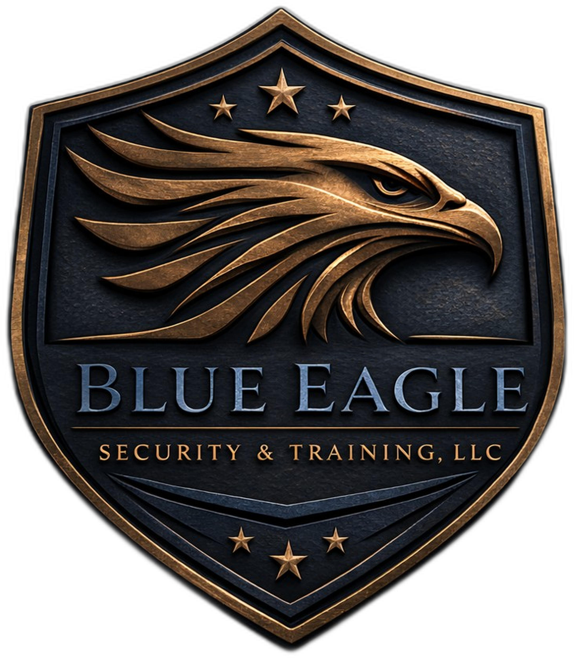 Blue Eagle Security and Training LLC